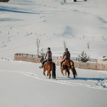 Familien Natur Moar Gut Grossarl