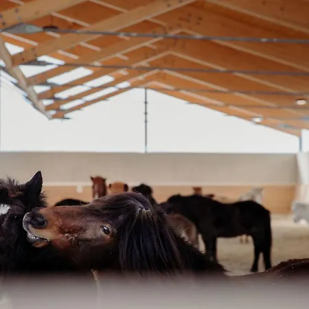 Familien Natur Moar Gut Grossarl