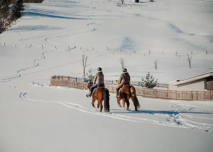 Familien Natur Moar Gut Grossarl