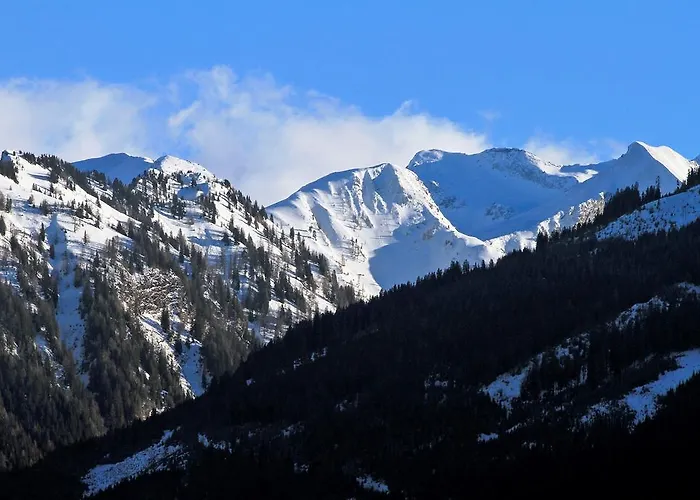 Familien Natur Moar Gut Hotel Grossarl